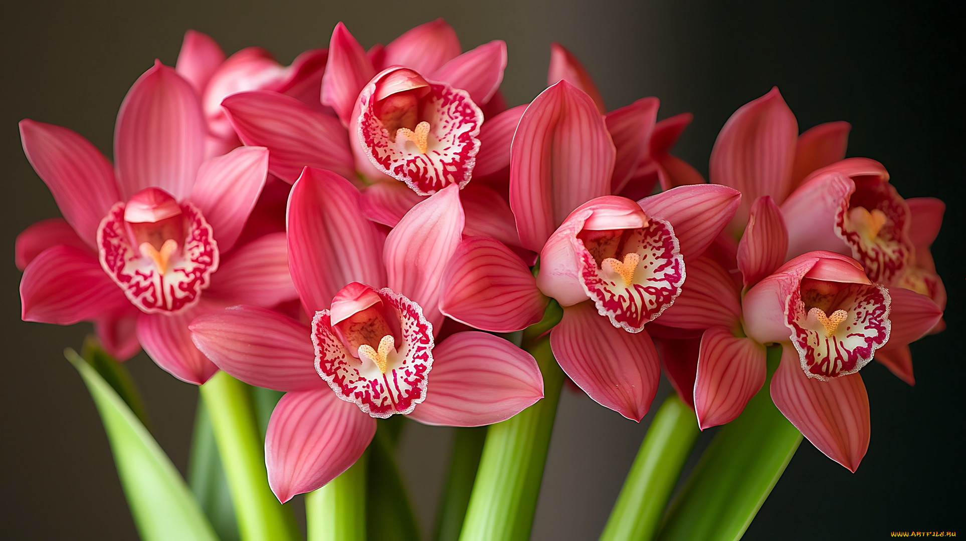 3 ,  , flowers, 